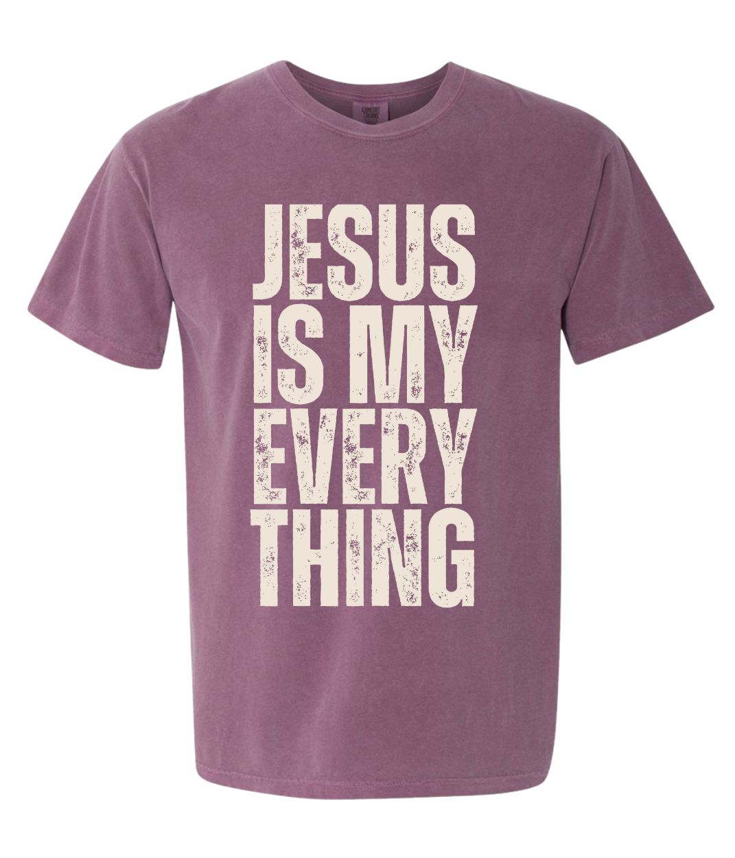 JESUS IS MY EVERYTHING - T-SHIRT